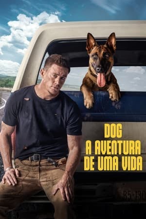 Dog – A Aventura de Uma Vida Online em HD