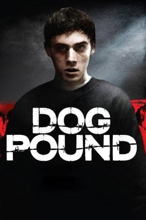 O Canil: Dog Pound Online em HD
