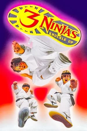 3 Ninjas em Apuros Online em HD