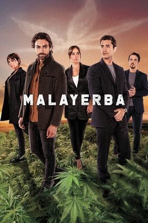 MalaYerba Online em HD