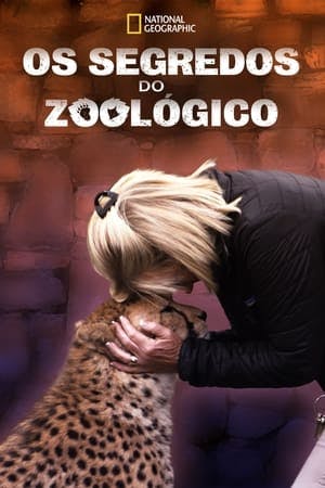 Os Segredos do Zoológico Online em HD