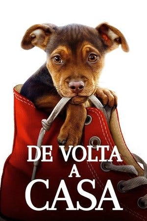 A Caminho de Casa Online em HD