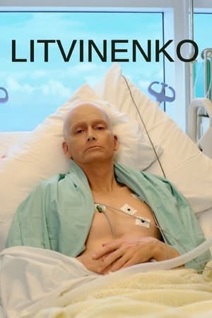 Litvinenko Online em HD