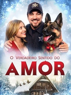O Verdadeiro Sentido do Amor Online em HD