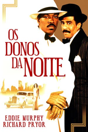 Os Donos da Noite Online em HD