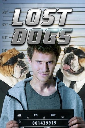 Procura-se um Cachorro Online em HD