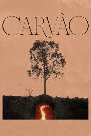 Carvão Online em HD