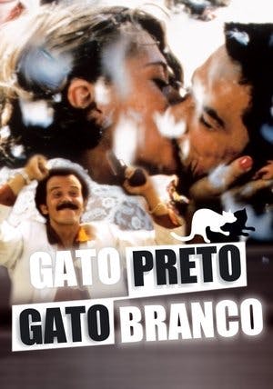 Gata Preta, Gato Branco Online em HD