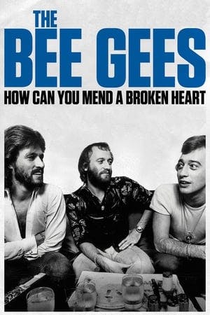 The Bee Gees: How Can You Mend a Broken Heart Online em HD