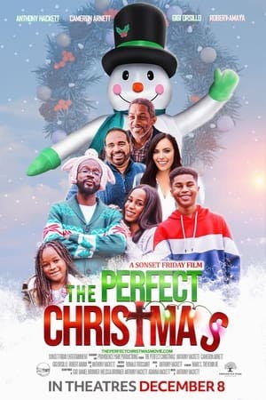 The Perfect Christmas Online em HD