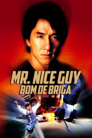 Mr. Nice Guy: Bom de Briga Online em HD