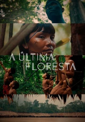 A Última Floresta Online em HD