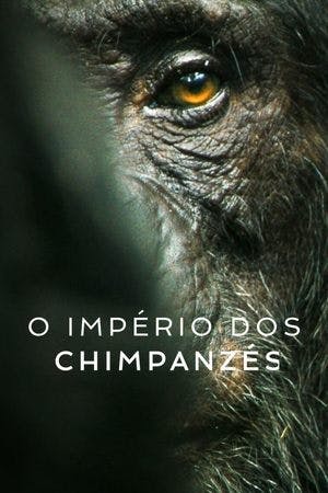 O Império dos Chimpanzés Online em HD