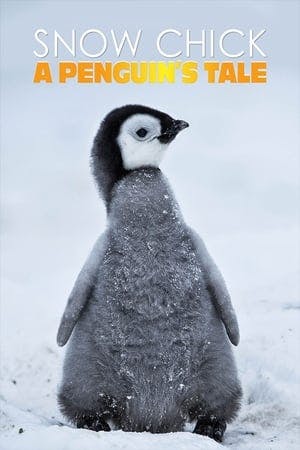 Snow Chick – A Penguin’s Tale Online em HD