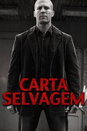 Carta Selvagem Online em HD