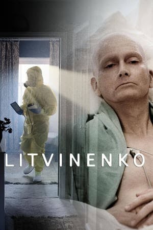 Litvinenko Online em HD