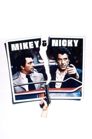 Mikey e Nicky Online em HD