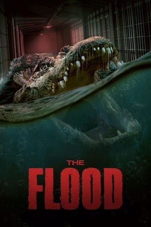 The Flood Online em HD