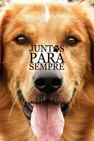 Quatro Vidas de um Cachorro Online em HD