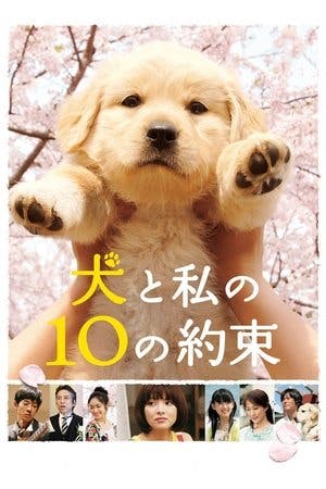 10 Promessas Para o Meu Cão Online em HD
