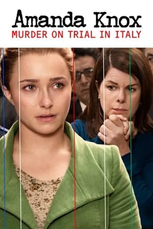 Amanda Knox: Murder on Trial in Italy Online em HD