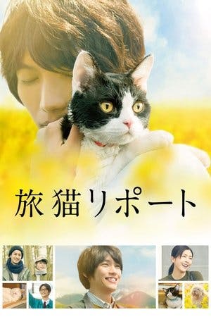 旅猫リポート Online em HD