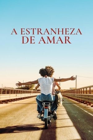 A Estranheza de Amar Online em HD