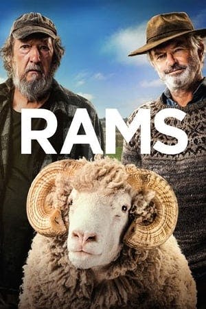 Rams Online em HD