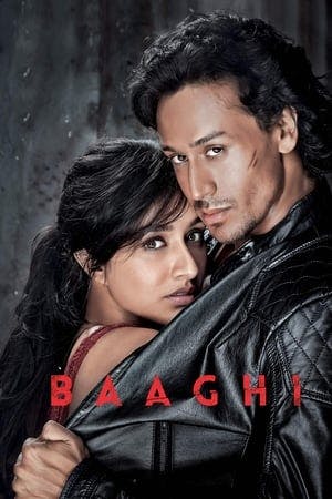 Baaghi Online em HD