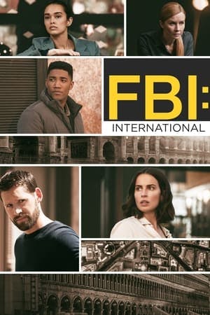 FBI: Internacional Online em HD