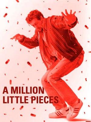 A Million Little Pieces Online em HD
