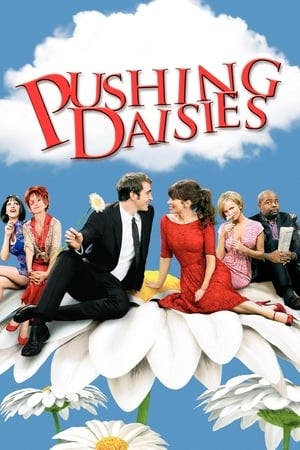 Um Toque de Vida (Pushing Daisies) Online em HD