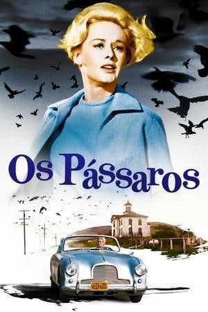 Os Pássaros Online em HD