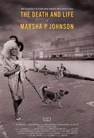 A Morte e Vida de Marsha P. Johnson Online em HD