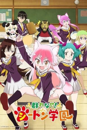 Seton Academy: Join the Pack! Online em HD