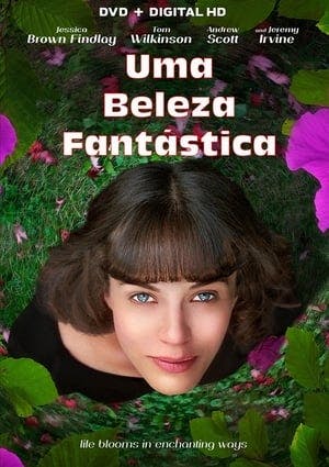 Uma Beleza Fantástica Online em HD