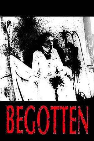 Begotten Online em HD