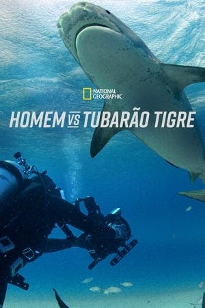 Homem vs Tubarão Tigre Online em HD