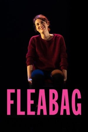 National Theatre Live: Fleabag Online em HD