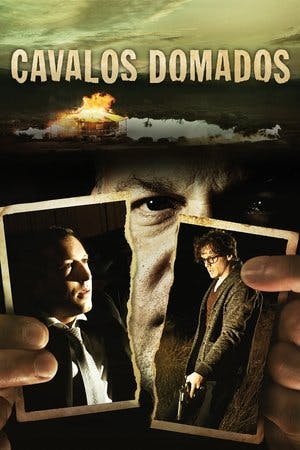Cavalos Domados Online em HD