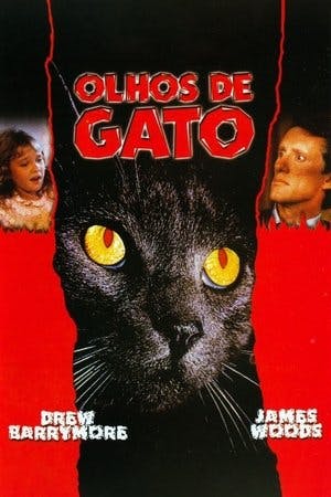 Olhos de Gato Online em HD