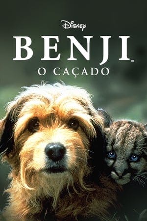 Benji – Um Cão Desafia a Selva Online em HD