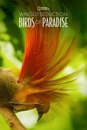 Winged Seduction: Birds of Paradise Online em HD