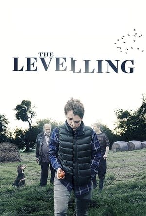 The Levelling Online em HD