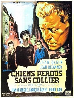 Chiens perdus sans collier Online em HD