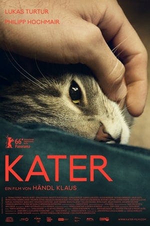 Kater Online em HD