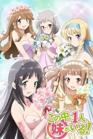 Kono Naka ni Hitori, Imouto ga Iru! Online em HD