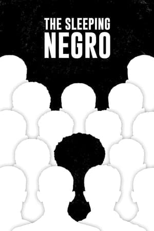 The Sleeping Negro Online em HD