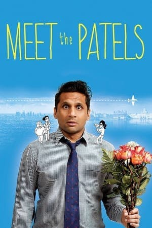 Meet the Patels Online em HD