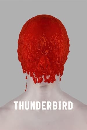 Thunderbird Online em HD